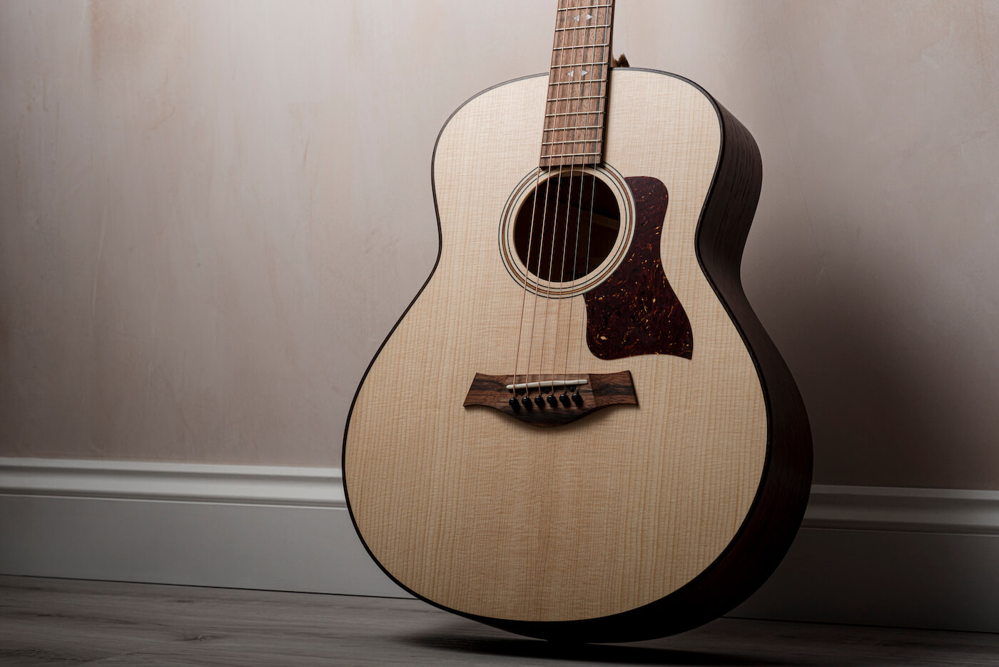 Taylor 314CE Ltd Review – A Fitting Tr...
